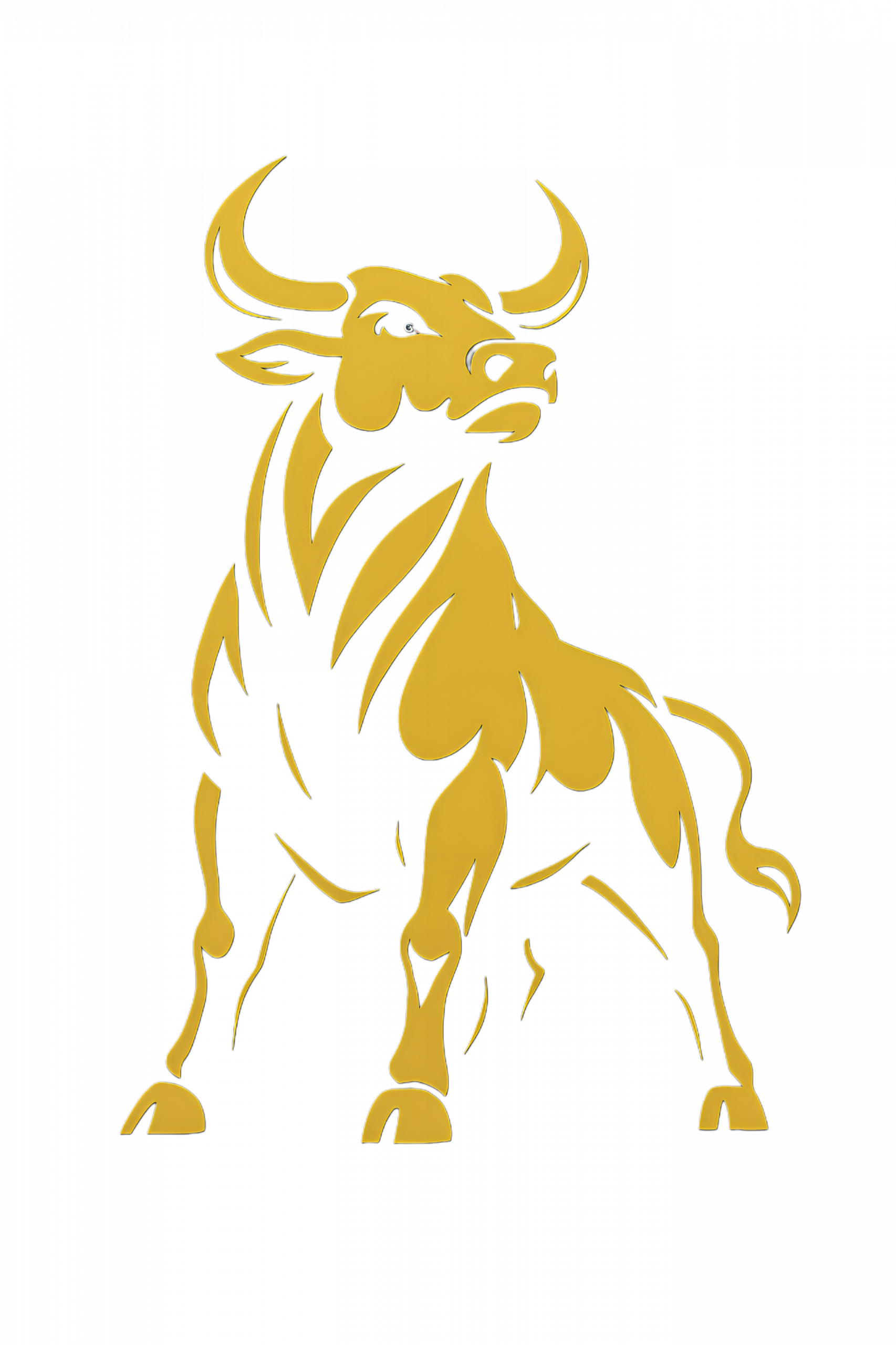 Toro Forex